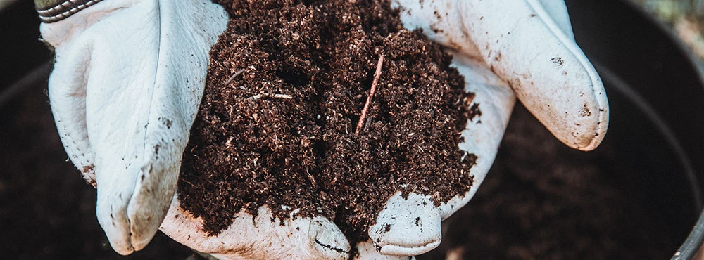 Hands with gloves holding brown soil